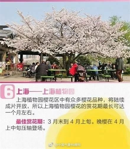 永安市清明节停车场免费吗,清明节3天在福建省内去哪里玩好