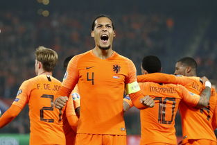 荷兰队欧洲杯成绩,荷兰得过欧洲杯冠军没?