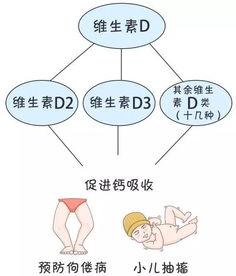 维生素d3概念股有哪些