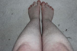 直击国外女性的 晒腿毛运动 ,满屏都是美女毛茸茸的小腿