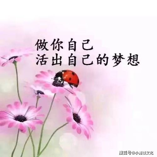 很潮很走心的朋友圈励志说说,经典走心,吸粉无数