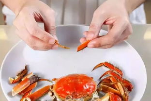 大闸蟹怎么做好吃又简单