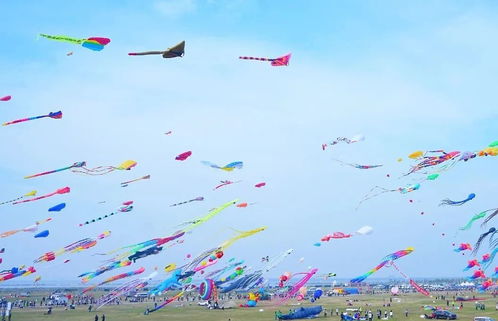 潍坊风筝节时间,潍坊风筝节：一场飞舞在蓝天上的文化盛宴