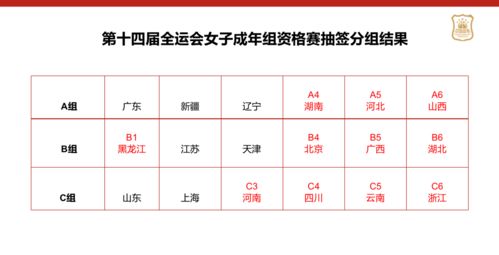 聊城马拉松2024报名时间表,2009市全运会篮球比赛什么时候开始