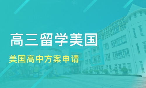 韩国留学作业查重：学术道德与学术能力的双重考验