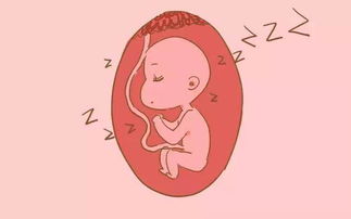 怀孕5个月胎动(胎动是什么感觉)