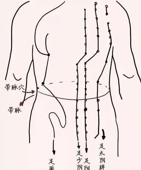 表情 现代女人为啥百病缠身 这是我见过的最好的答案 阳气 表情 