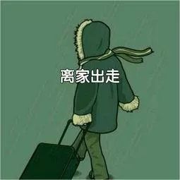 陕西 心疼 觉得父母不称职女孩离家出走4年,被警察找到时却