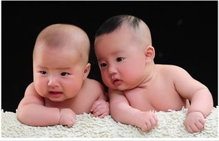 猴年8月出生的双胞胎宝宝取名字大全 