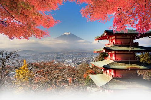 日本主要旅游景点及特色,去日本旅游必去的景点