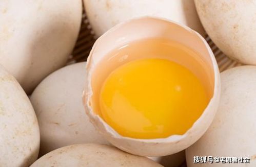 鸡蛋 鸭蛋和鹅蛋,哪个营养成分更高 看完后原来都吃错了