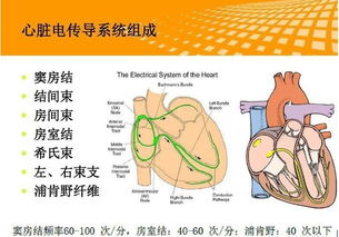 心梗为什么不能切开心血管把梗塞取出来