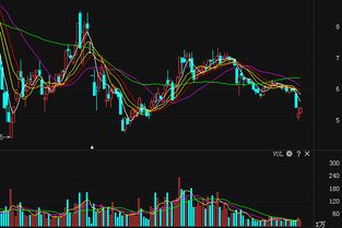 大连港分红派股何时到我的户内