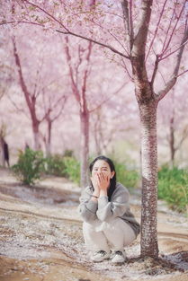 桜の树の下什么意思,日语公园里有一棵樱花树如何翻译