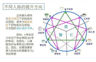 关于第二型人格 