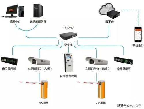 车辆车牌统计软件有哪些(停车场系统管理系统有哪些软件)