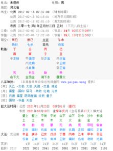 2017年农历正月二十二凌晨两点到三点是什么命 