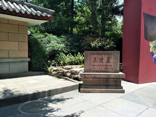 清远博物馆：一座藏着千年历史与文化的宝藏之地