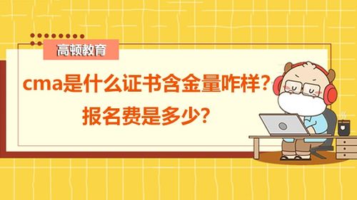 管理会计报,什么是企业管理会计报告