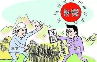 农村人粮食补贴每亩可以拿多少钱,什么时候发