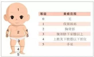 月嫂凭什么月薪两三万,那是因为她们让宝妈避免掉进这8个坑里