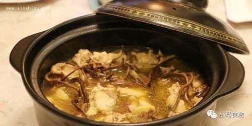 茶树菇的功效与作用 茶树菇的烹制特点及菜品有哪些？ 