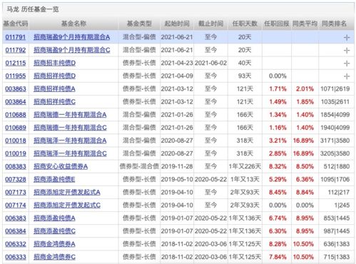 请问查看一只基金当前一天的持股明细怎么查看啊？？？