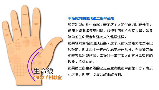 生命线图解 生命线分叉 2 