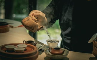 潮汕人喜欢的名茶 乌岽山与宋种茶