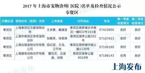 拒绝黑诊所 上海官方发布最全的宠物诊所名单