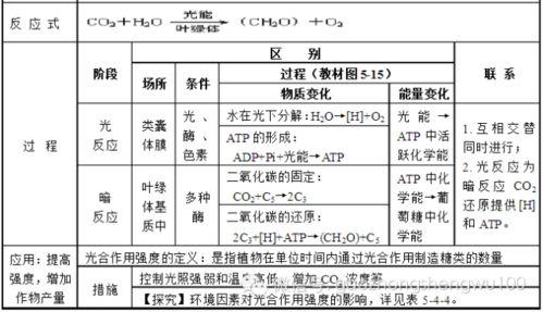 高中生物 易错易混知识点对比,整理成表格更直观