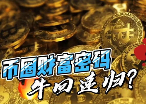 bonk币最新价格,最新的bok币价格分析