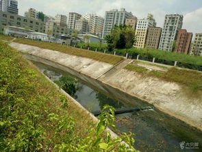 岗头河,民治河 未命名