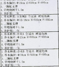 请将图片中D P H M2到底说的是什么意思在线等 