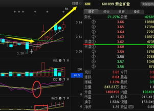 为什么紫金矿业601899股价这么低，比其他同行业低那么多？