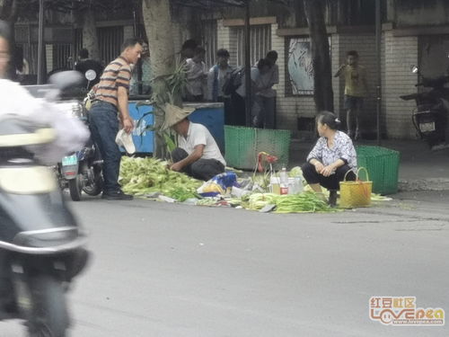 小区门口摆摊谁能管管 