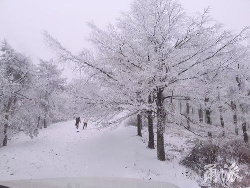 宁波冬天温度一般是多少度,宁波20度穿什么衣服，20度穿风衣合适吗