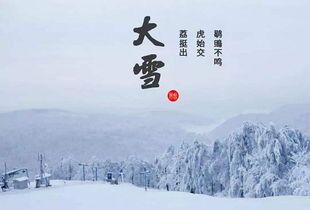 2019年大雪女宝宝五行缺水100分取名精选