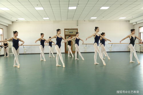 舞蹈艺考集训多少钱,高考舞蹈专业艺考要集训么?
