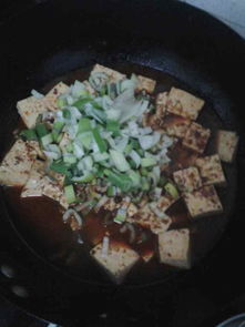 菜谱家常菜做法,1. 麻婆豆腐