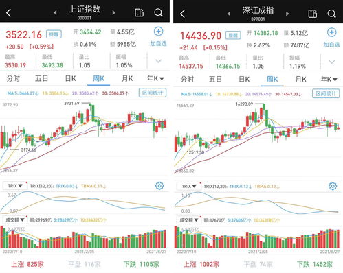 股海导航 12月19日沪深股市公告与交易提示