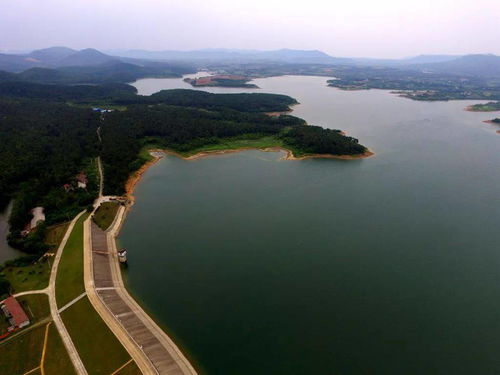 京山网红水库美出新高度 带你打卡水畔春景