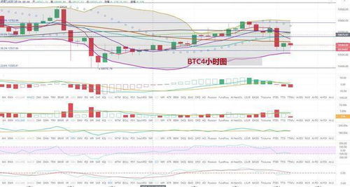 axs币最新行情分析,新西兰元对人民币汇率走势怎样?