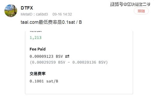 bsv币贴吧,BSV-比特币SV是什么？