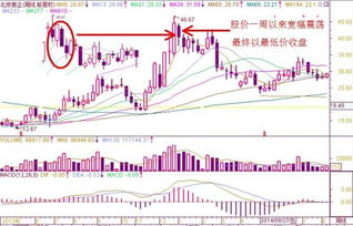 中国平安为何也会在国际油价上下跌中股价上长呢