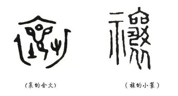 说文解字 第九课 在汉字中,先民一直在处理自己跟神明的关系 