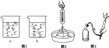 分子运动的快慢和什么有关