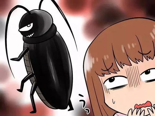 日本造了个环保 生化武器 ,能把家里的蟑螂统统灭掉