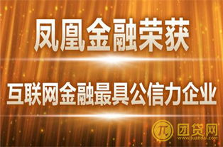 不知道凤凰金融的投资能力怎么样？