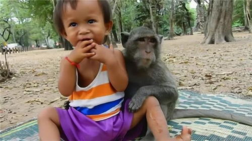 母爱泛滥 野猴把小女孩当成自己的宝宝,紧紧抱着她谁也不许动 